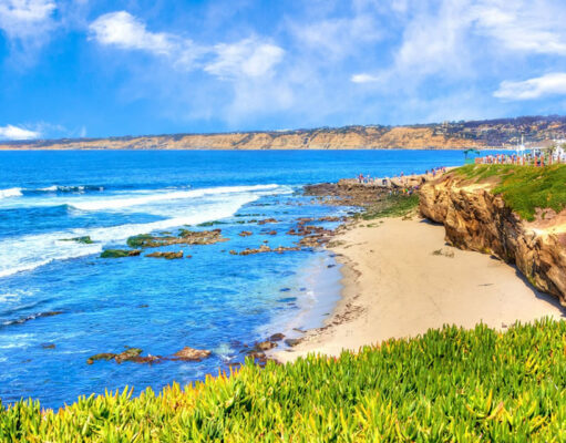 The 5 Best Beaches in San Diego Sandiego Beaches