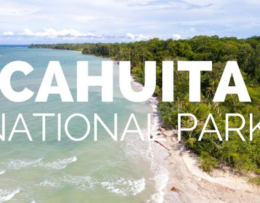 Guide to Visiting the Wild Cahuita Cahuita National Park