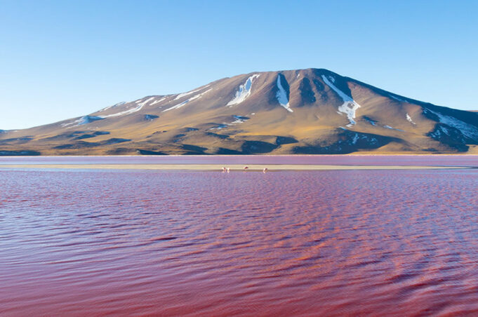 Bolivia